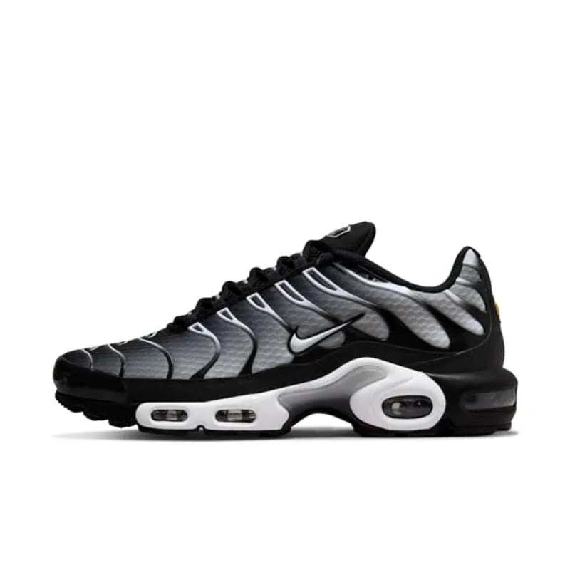 10001 Nike Air Max Plus Smoke Fade - Image 1
